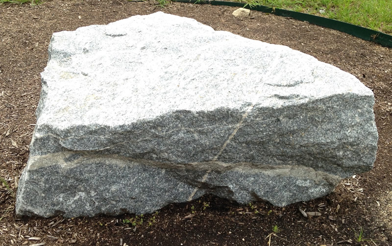 Figure 1: The grano-diorite boulder at Northern Wake Campus, with two prominent pegmatite dikes visible on the front surface.