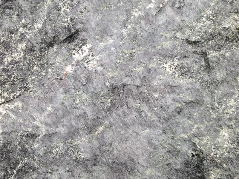 Figure 5: A close-up of the surface of the greenstone, showing the green epidote minerals and slickensides.