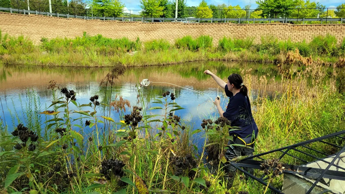 A woman stands at the edge of a small pond surrounded by tall grasses and wild plants, reaching out toward the water to cast a net to collect organisms living in the pond.