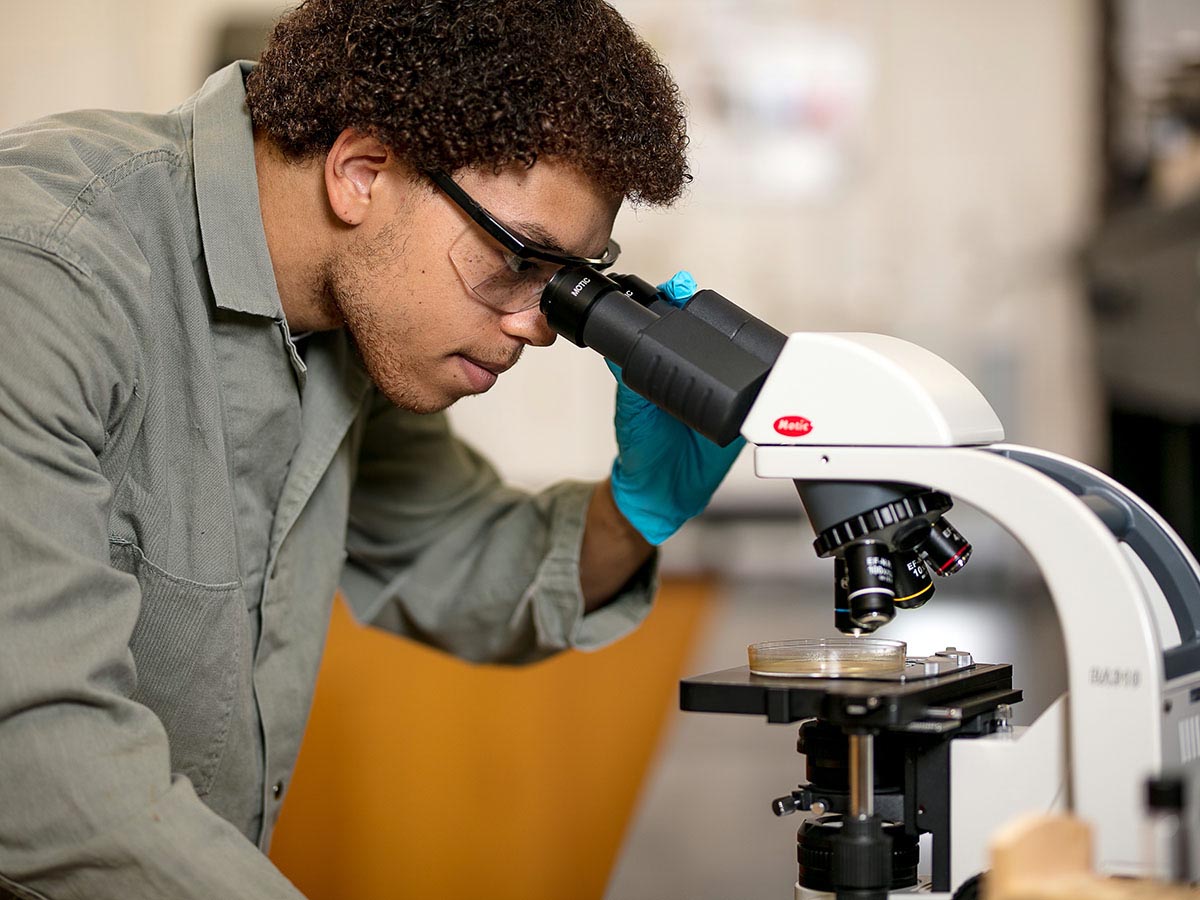 Undergraduate Research at Wake Tech