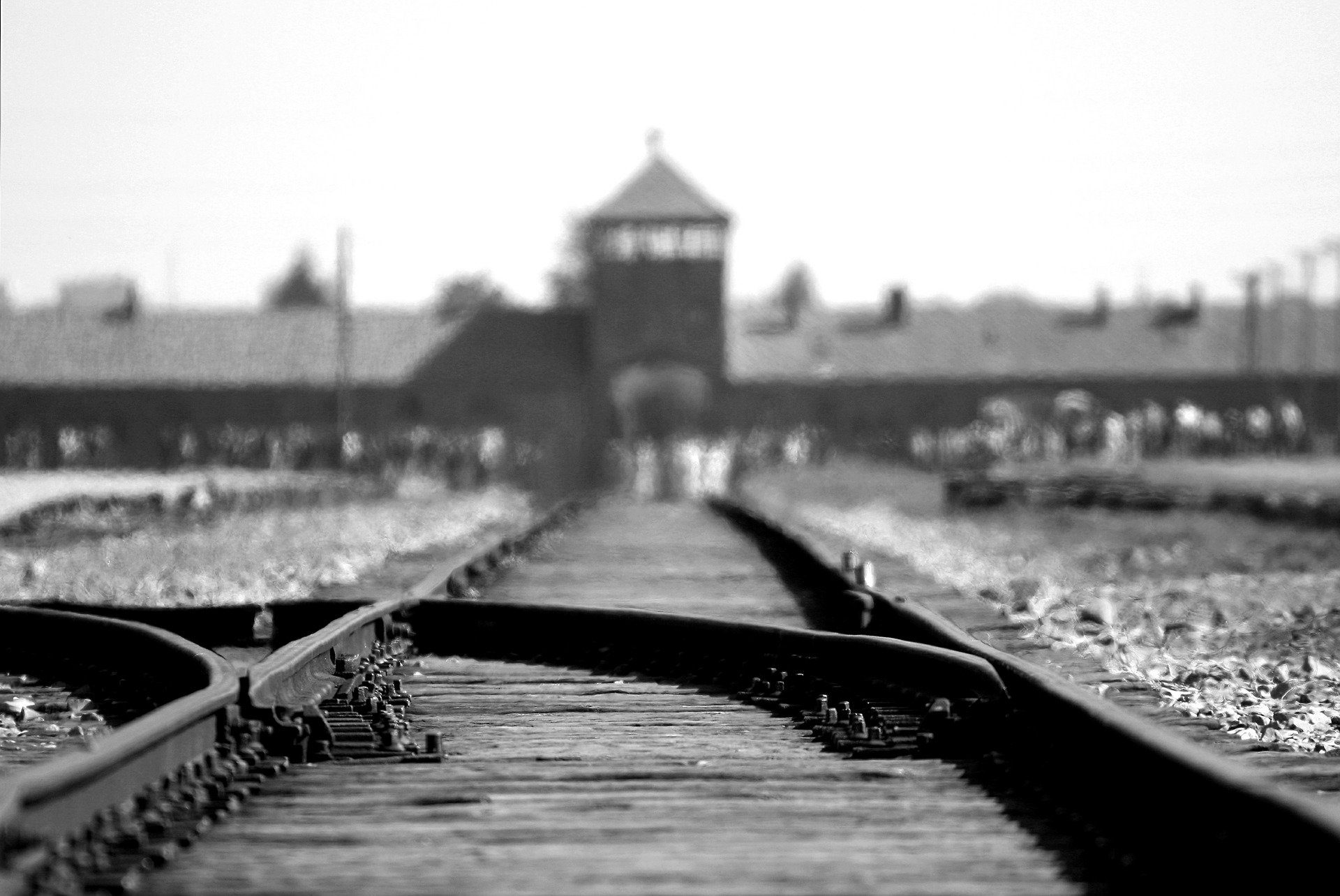 International Holocaust Remembrance Day
