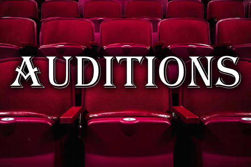 Performing Arts Club auditions image