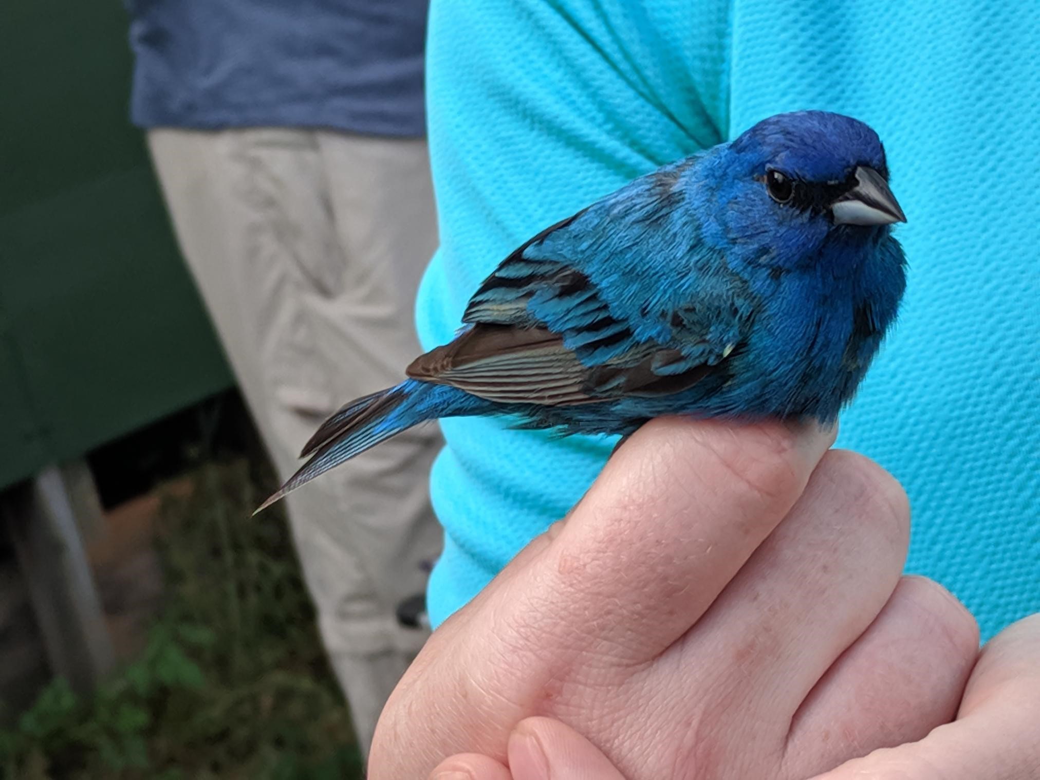 Biology Club Meeting