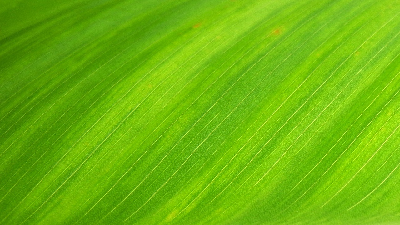 phaciwufrelutrutrijipacuwebrivostihemigetrilocrosuphorislekophubidabofrothiwrestowestacruwe Christian Connect