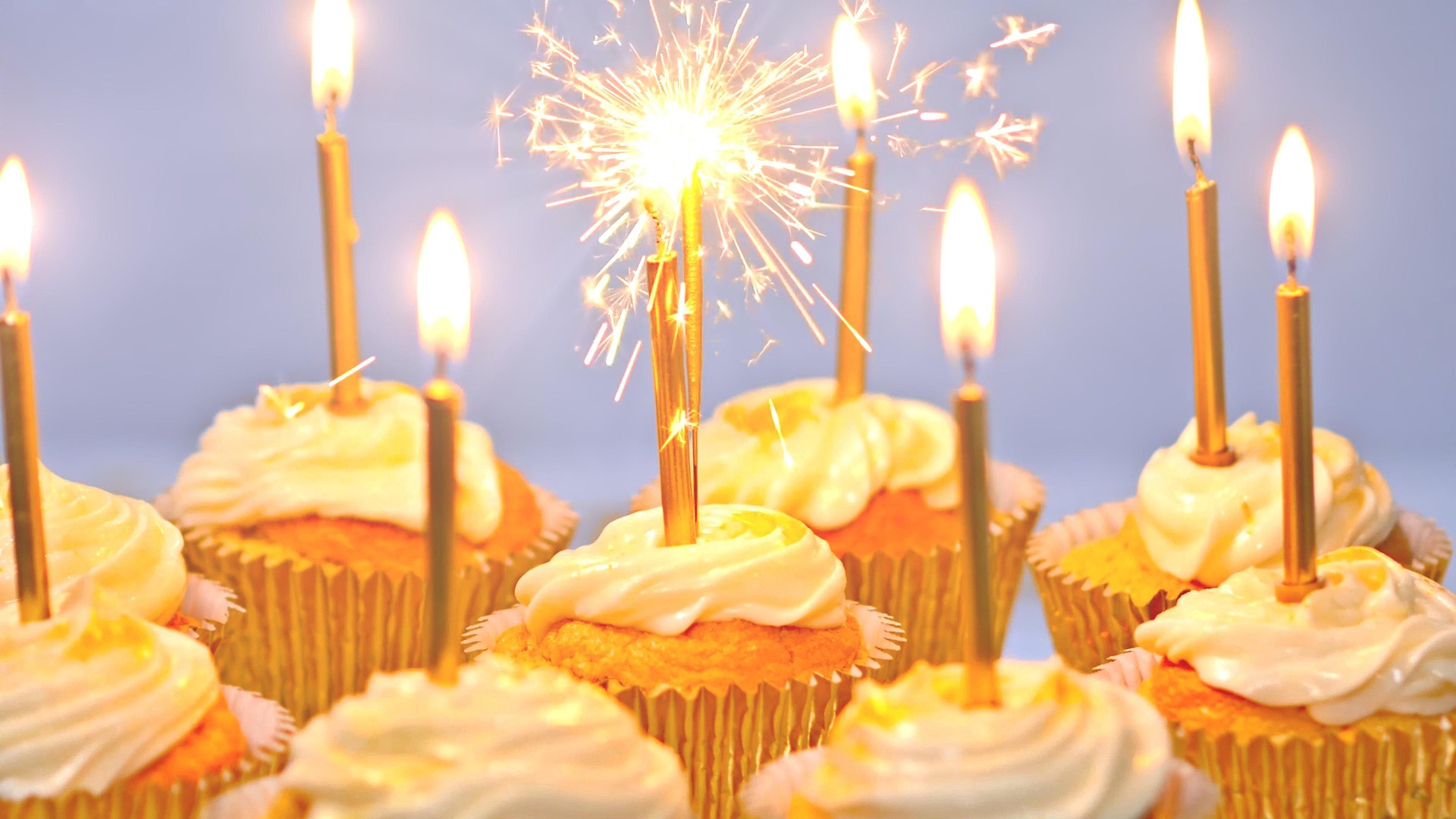 International Friends Club Meeting