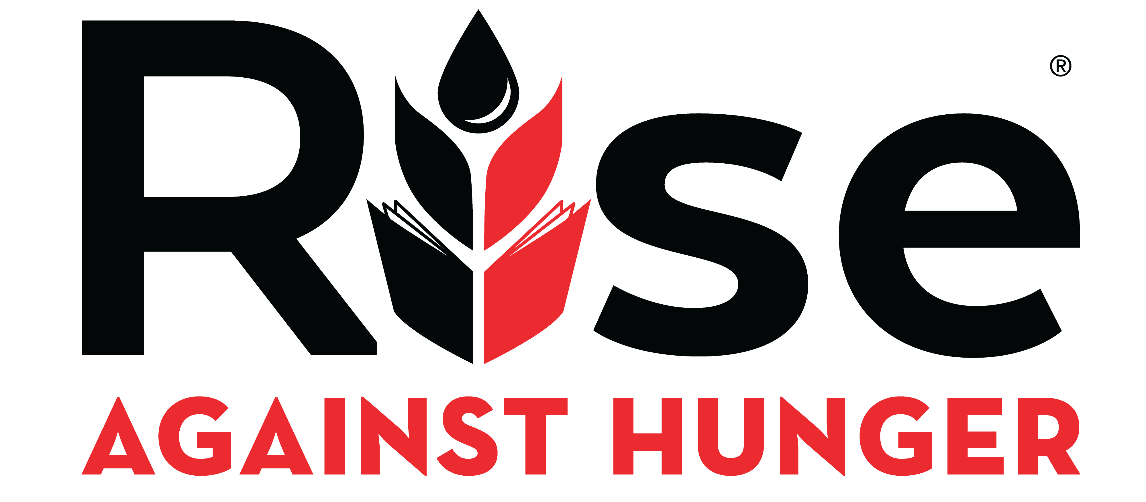 Rise Against Hunger Meal Packaging Event