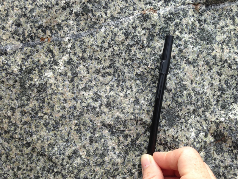 Figure 3: The surface of the diorite with a hand and black ballpoint pen for scale. 