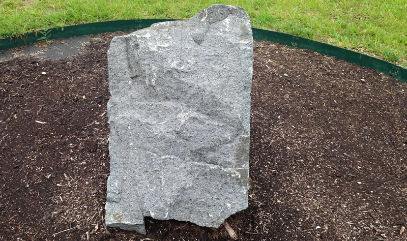 Figure 1: The gabbro boulder at Northern Wake Campus.