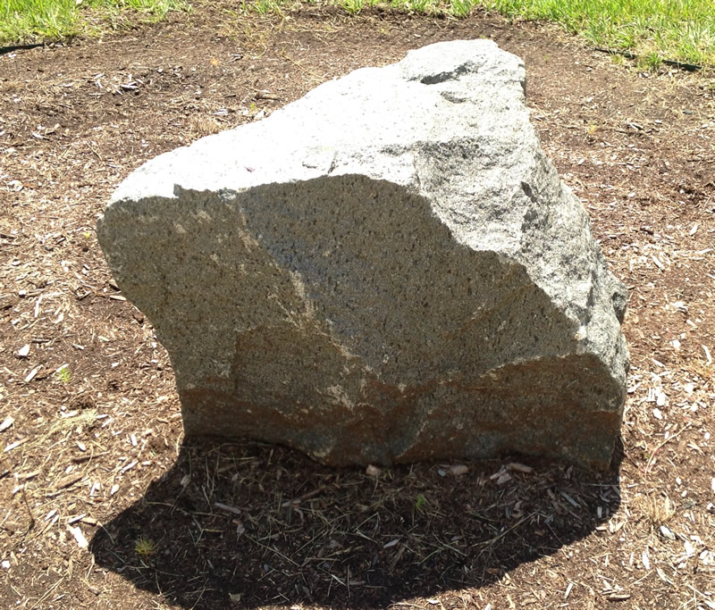 Figure 1: The gabbro boulder at Southern Wake (Main) Campus