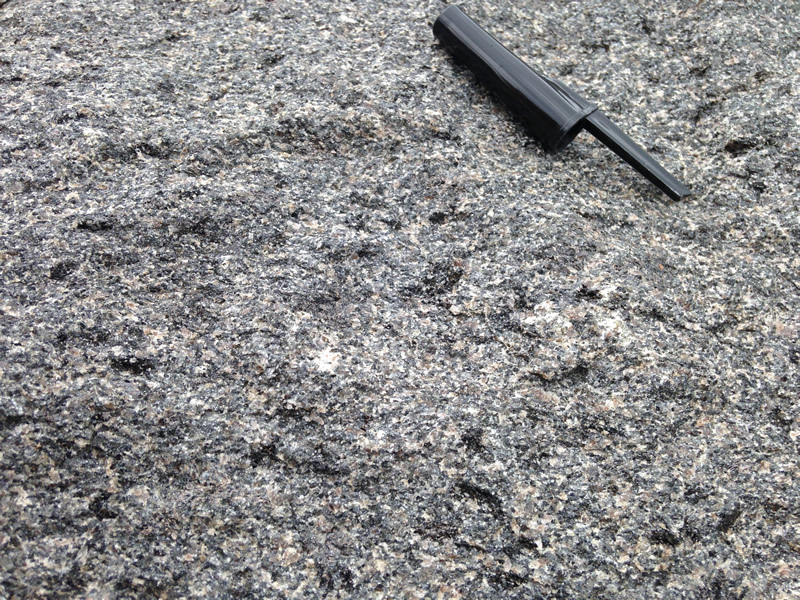 Figure 3: Close-up of the gabbro showing that the dark color is actually due to a variety of dark-colored minerals.