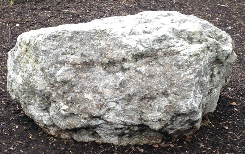 Figure 1: The granite pegmatite boulder at Northern Wake Campus.