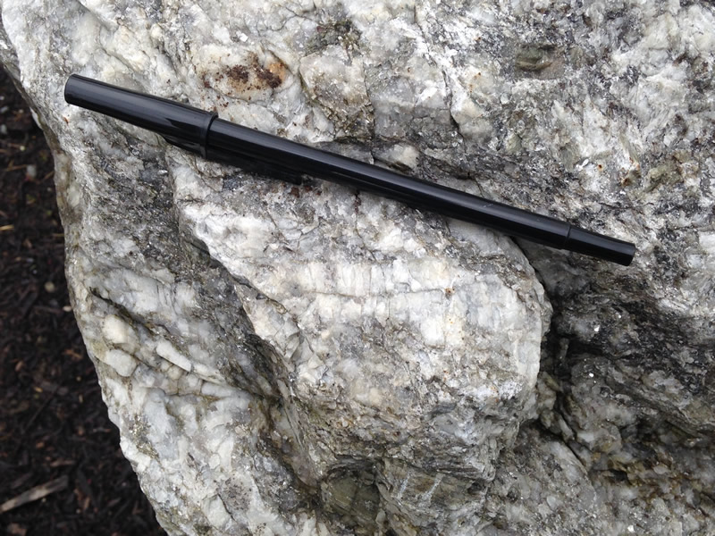 Figure 4: A close-up of the granite pegmatite showing the immense size of a white feldspar crystal.  