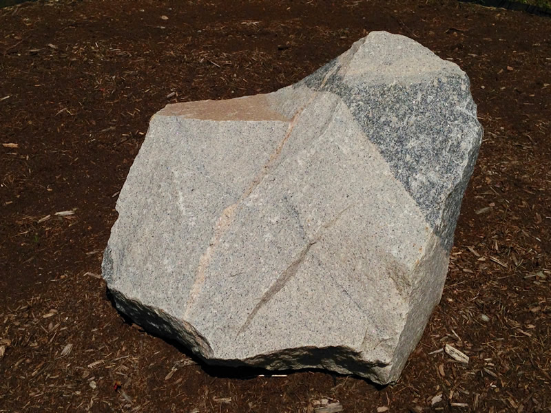 Figure 2: Grano-diorite boulder at Southern Wake (Main) Campus.