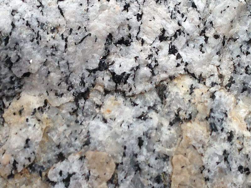 Figure 4: A close up image of the grano-diorite showing the minerals. 