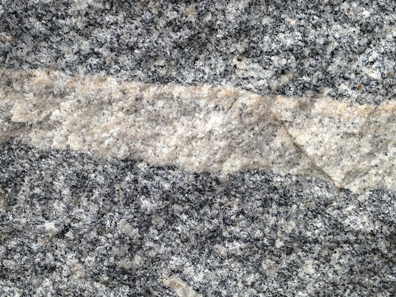 Figure 7 An image of the grano-diorite with the lighter-colored pegmatite cutting through it
