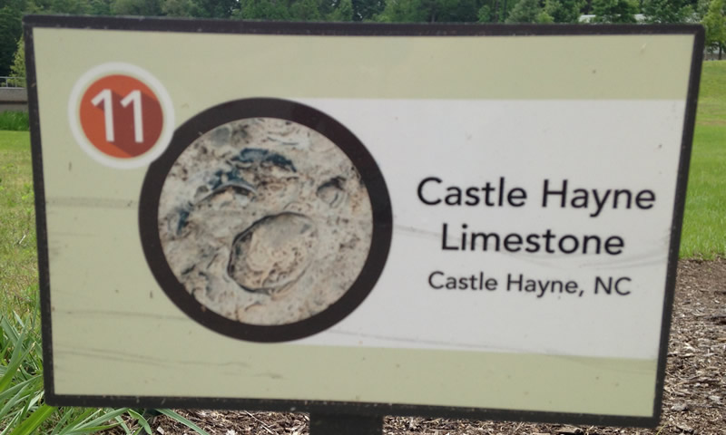 Castle Hayne Limestone
