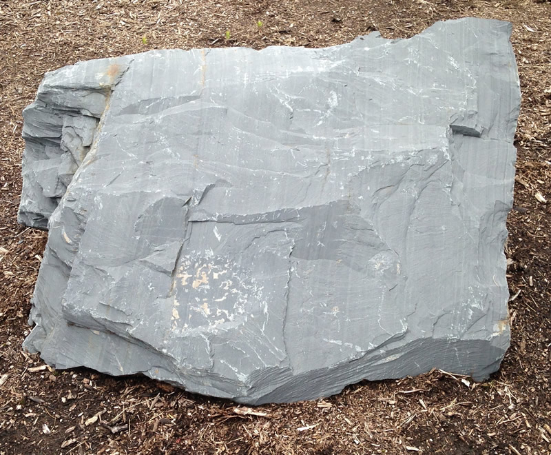Figure 1: The meta-argillite at Northern Wake Campus.