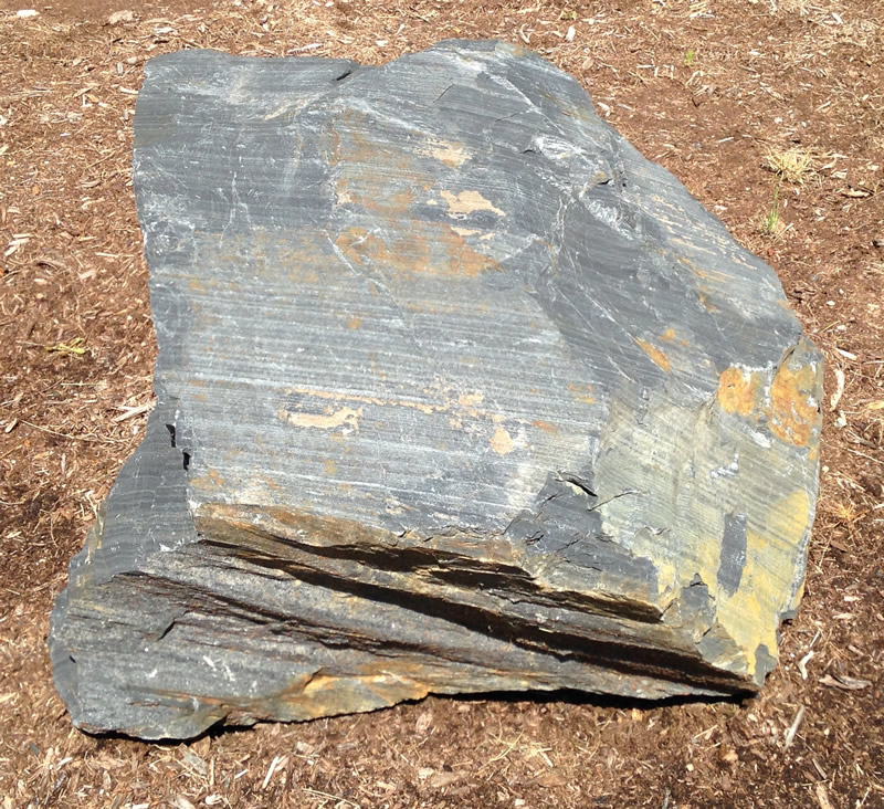 Figure 2: The meta-argillite at Southern Wake (Main) Campus.