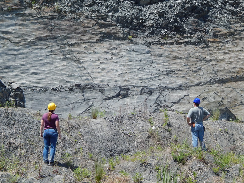 Figure 7: Wake Tech geologists Dr. Sara Rutzky and Tyler Clark examine the wall in the Asheboro quarry showing the current ripples in meta-argillite.