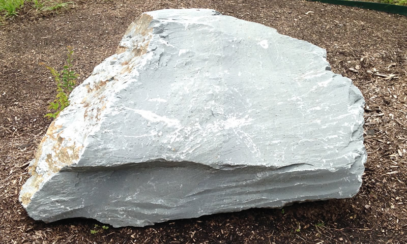 Figure 1: The meta-tuff boulder at Northern Wake Campus.