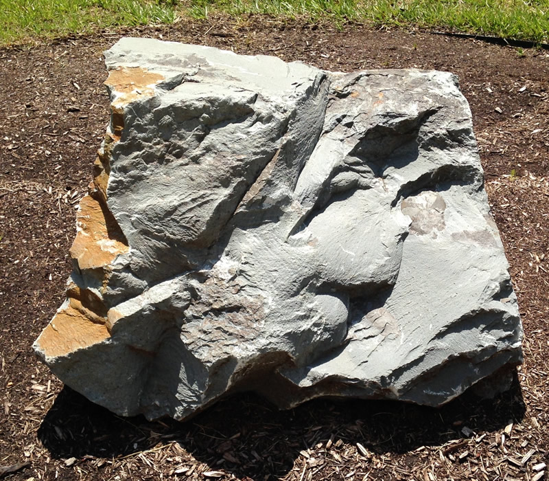 Figure 2: Meta-tuff boulder at Southern Wake (Main) Campus.