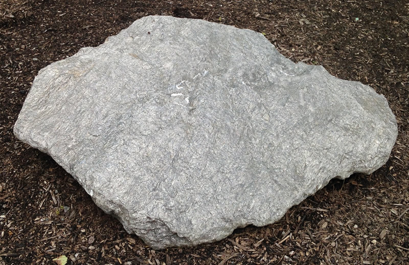 Figure 1: The mica schist boulder at Northern Wake Campus.