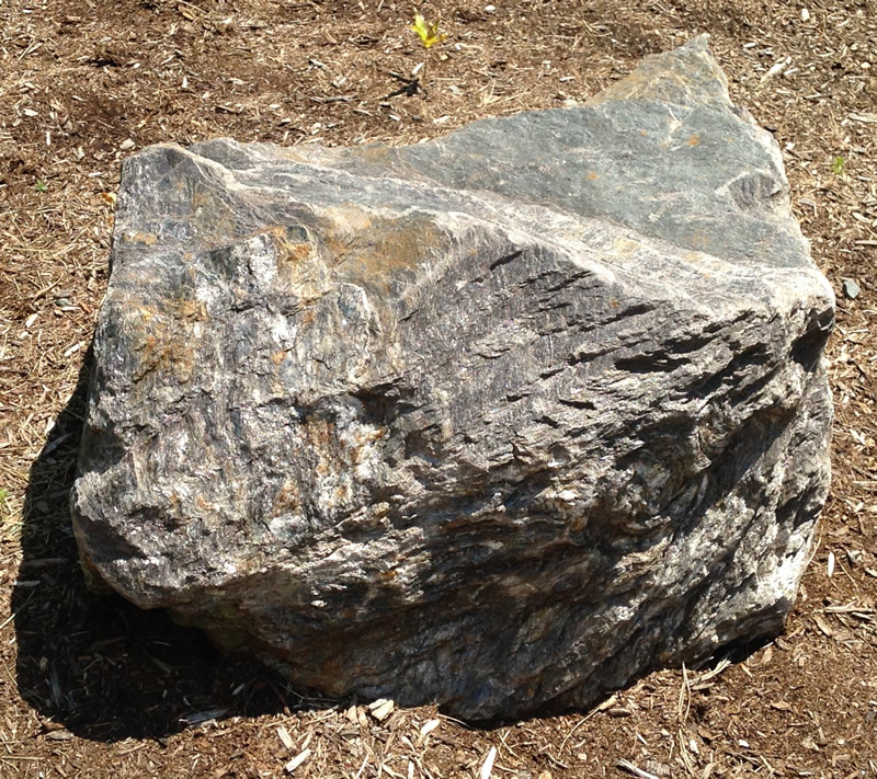 Figure 2: The mica schist boulder at Southern Wake (Main) Campus.