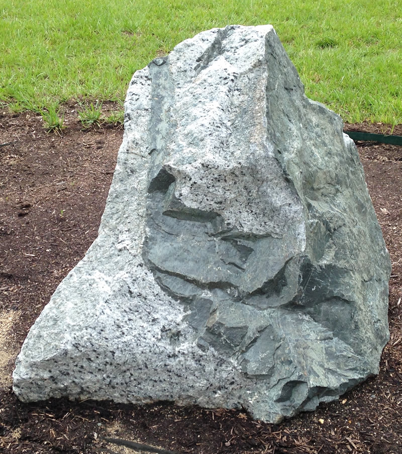 Figure 1: The monzonite boulder at Northern Wake Campus.