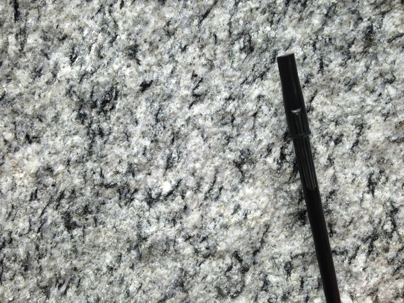  Figure 6: The surface of the monzonite showing the lineation, or way that the dark minerals have aligned themselves.