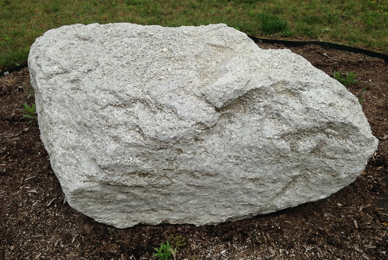 Figure 1: The Onslow limestone boulder at Northern Wake Campus.