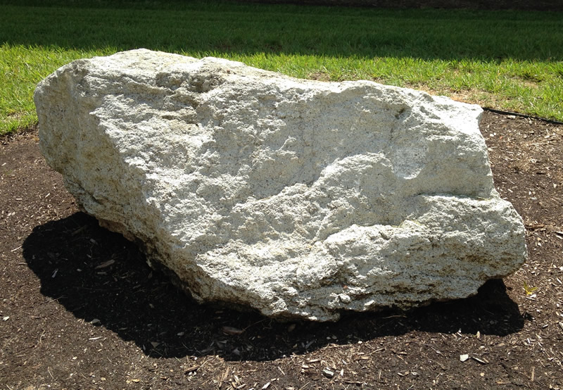 Figure 2: The Onslow limestone boulder at Southern Wake (Main) Campus.