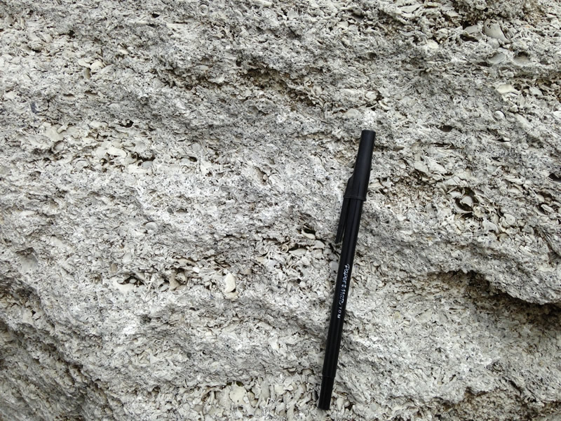 Figure 3: The surface of the Onslow Limestone
