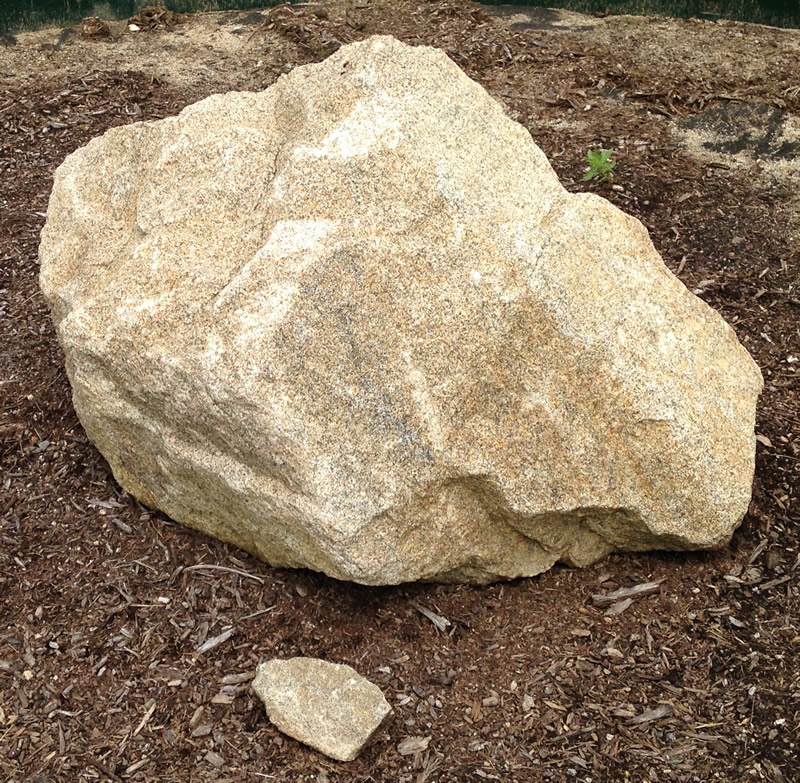 Figure 1: The Rolesville granite as it looks from the path.