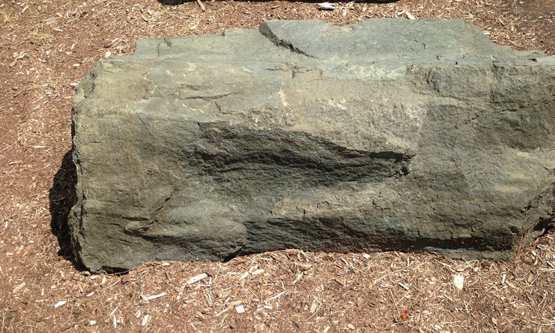 Figure 2: One of two diabase boulders located at Southern Wake (Main) Campus.