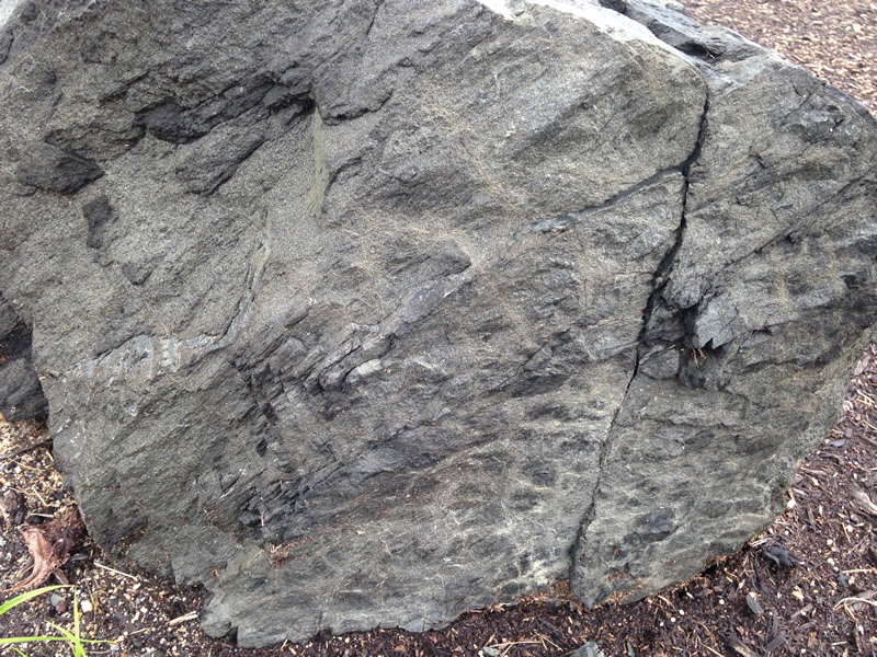 Figure 5b: Two images of sides of different diabase boulders. You can see that the boulders have a roughly rectangular prism shape, which is due to how this rock contracts (and therefore breaks) as it cools from molten lava.
