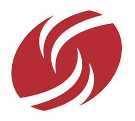 Dress for Success logo