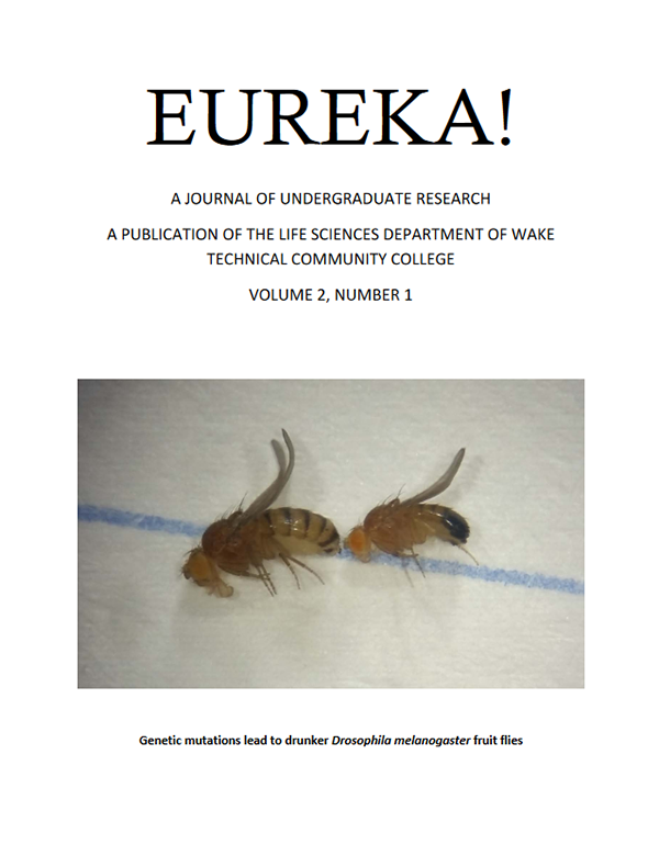 Eureka! Vol. 2 cover photo