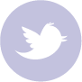Twitter icon