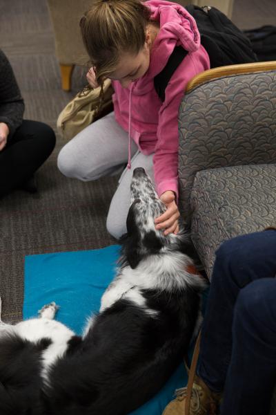 Wake Tech Offers Animal Therapy to Help Students Fight Stress