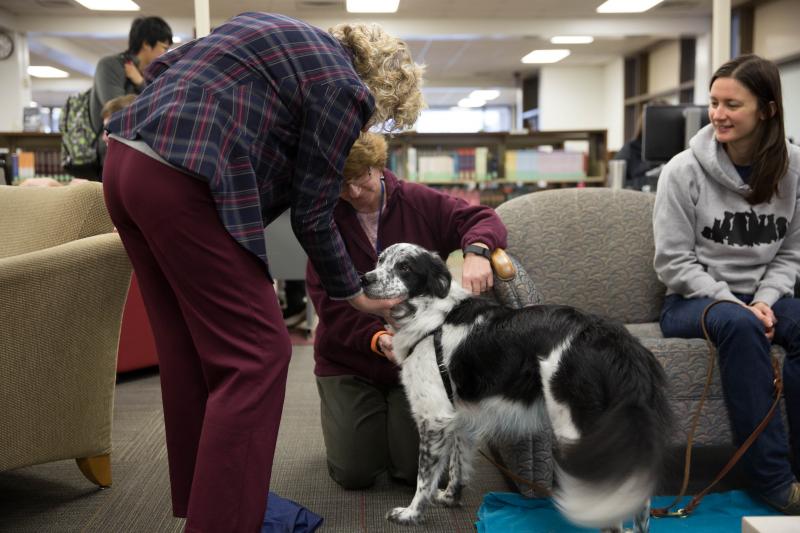 Wake Tech Offers Animal Therapy to Help Students Fight Stress