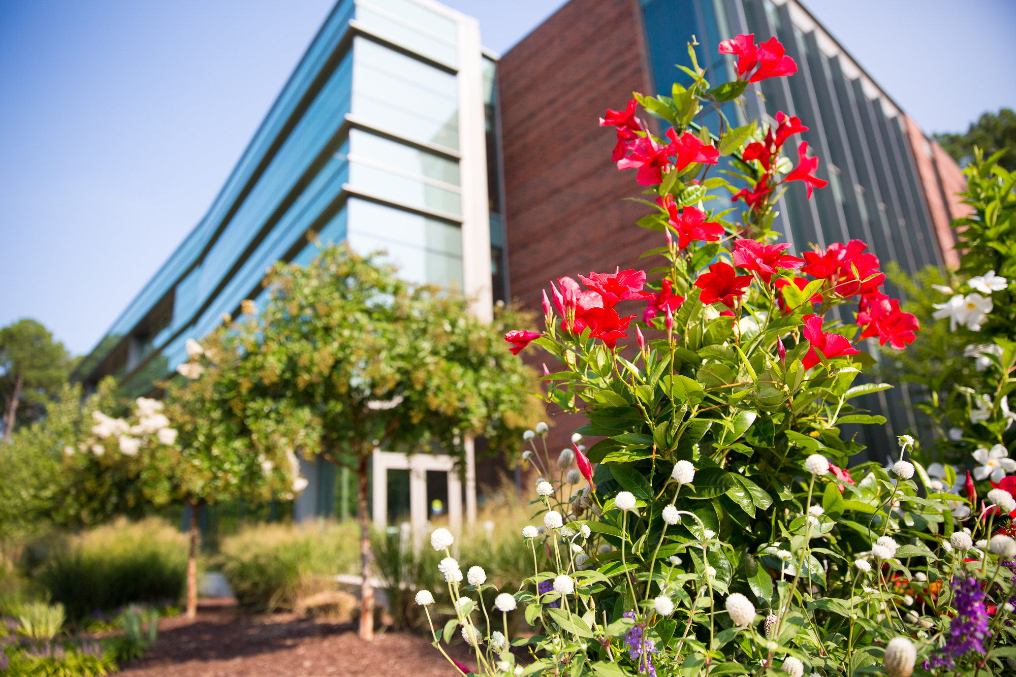 Southern Wake Campus