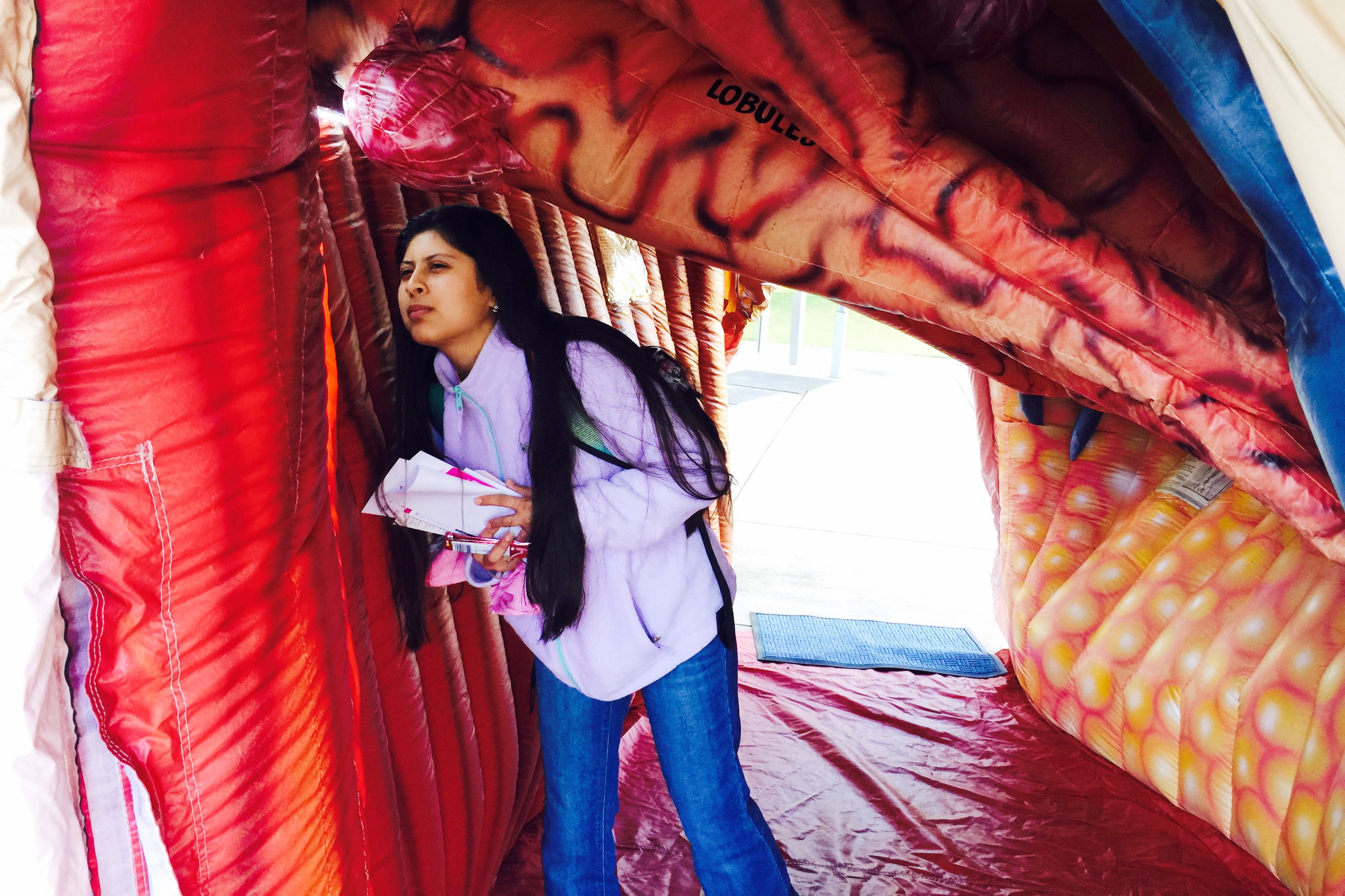 Perry Health Sciences Campus Goes Pink for Prevention   