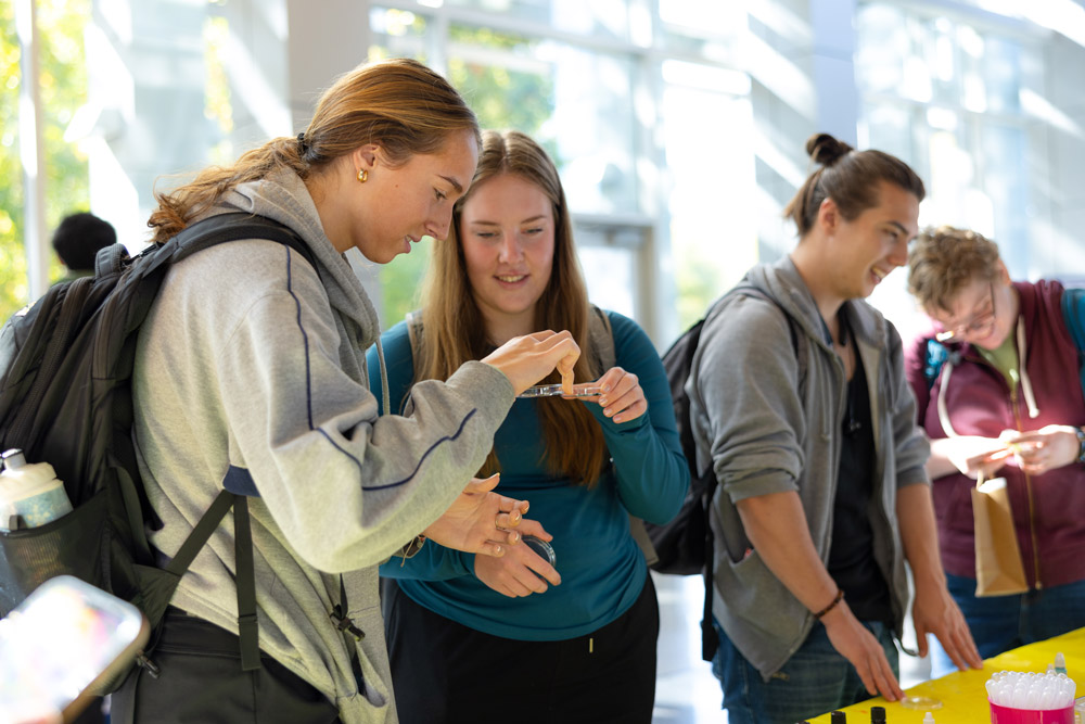 Celebrating STEM