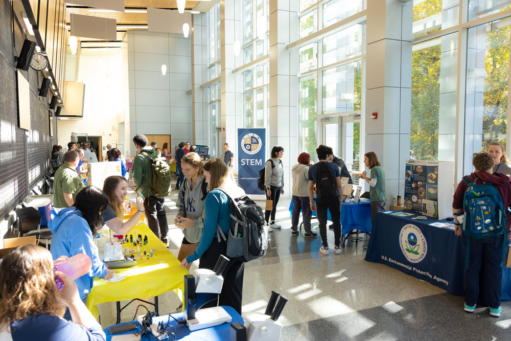 Celebrating STEM