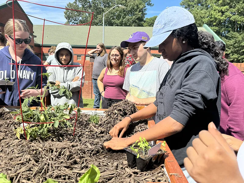 Wake Tech students plant seedlings in the vegetable garden on Southern Wake Campus.