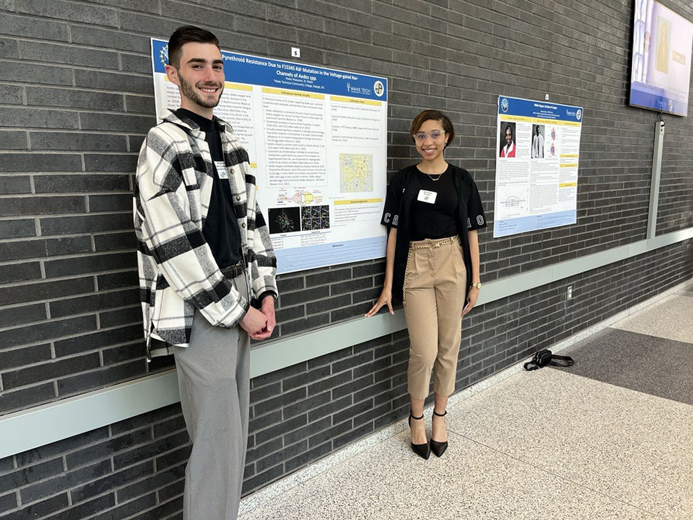 Undergraduate Research on Display