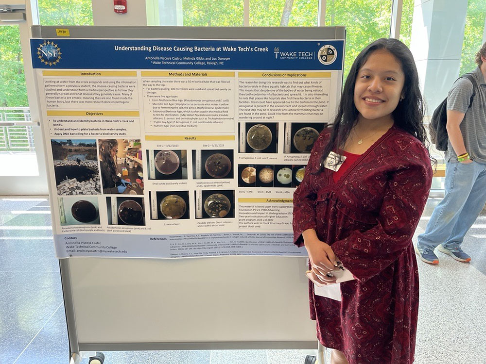 Undergraduate Research on Display