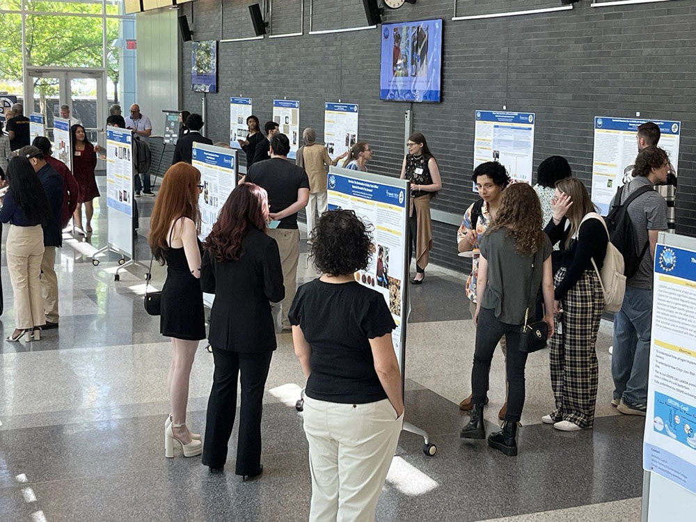 Undergraduate Research on Display