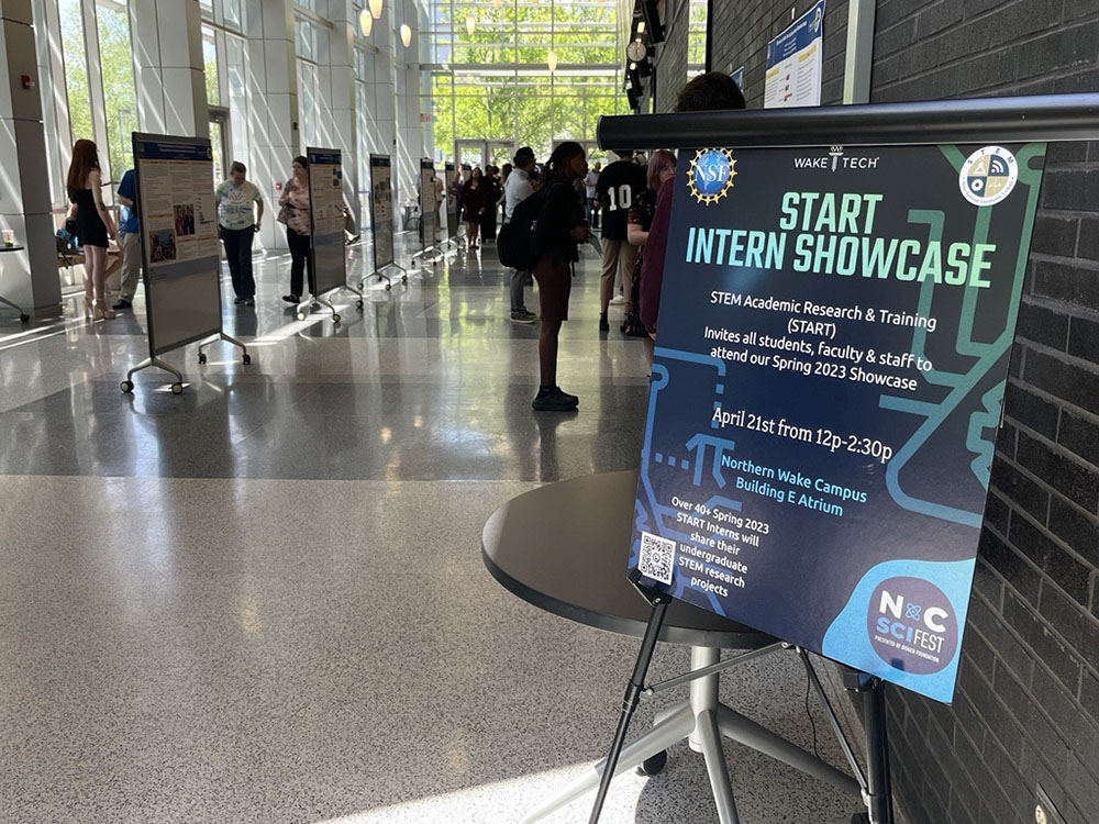 Undergraduate Research on Display