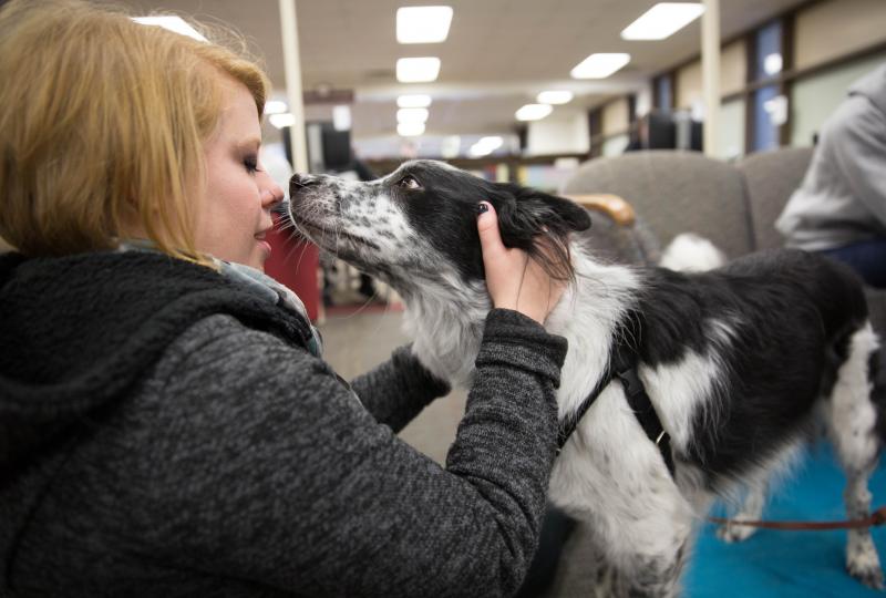 Wake Tech Offers Animal Therapy to Help Students Fight Stress